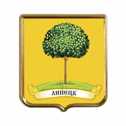 Сувенирный магнит Липецк