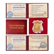 Удостоверение Идеальная свекровь Удостоверение Идеальная свекровь