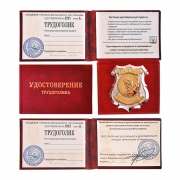 Удостоверение Трудоголика Удостоверение Трудоголика
